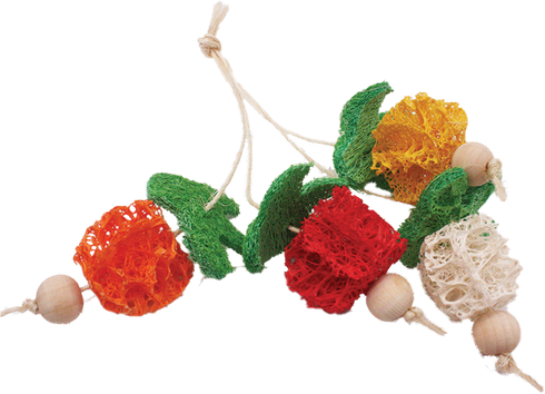 A&E Nibbles Bunch of Fruits Small Mammal Toy