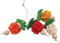 A&E Nibbles Bunch of Fruits Small Mammal Toy