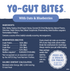 Natural Balance Treat Yo-Gut Bites Dog Treats - Blueberry & Oat - 4.5oz Pouch