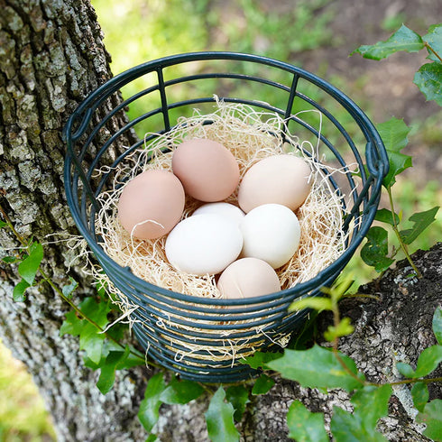 Happy Hen Treats Excelsior Nesting Pads for Chicken Coops - 15/Pack