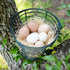 Happy Hen Treats Excelsior Nesting Pads for Chicken Coops - 15/Pack