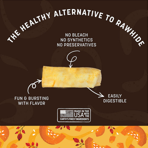 Earth Animal No-Hide Dog Chew Treat - Pumpkin Spice - Medium