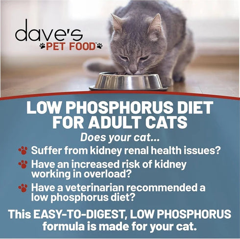Dave's Restricted Diet Phosphorus Wet Cat Food - Chicken & Chicken Liver - 3oz Can