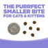NutriSource Select Grain Free Cat & Kitten Dry Food - Chicken & Salmon - 12lb Bag