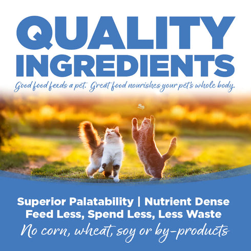 NutriSource Kitten & Adult Wet Cat Food - Chicken, Turkey, Lamb, & Fish - 5.5oz Can