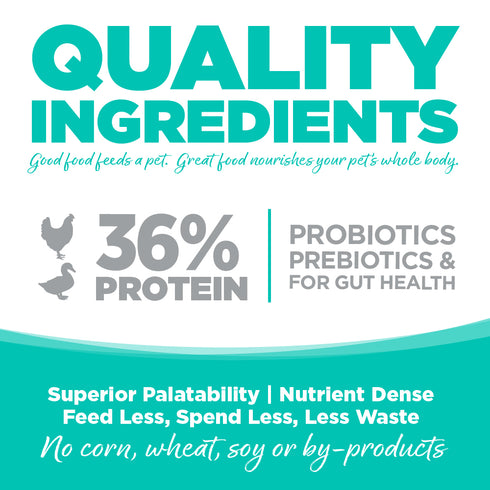 NutriSource Grain Free Dry Cat Food - Country Select - 12lb Bag