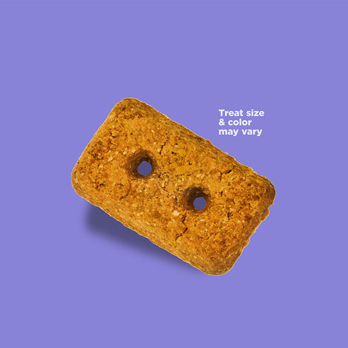 NutriSource Crunchy Crunchers Biscuit Dog Treats - Liver - 4oz Pouch