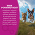Nutrisource Come-Pooch-A Bone Broth for Dogs - Beef - 12oz Pour Pouch