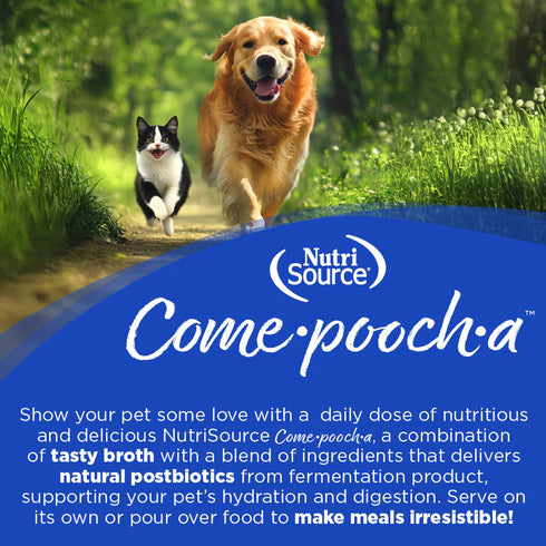 Nutrisource Come-Pooch-A Bone Broth for Dogs - Chicken - 12oz Pour Pouch