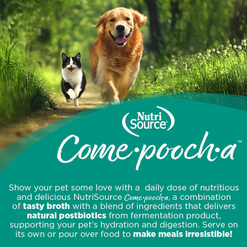 Nutrisource Come-Pooch-A Bone Broth for Dogs - Turkey - 12oz Pour Pouch