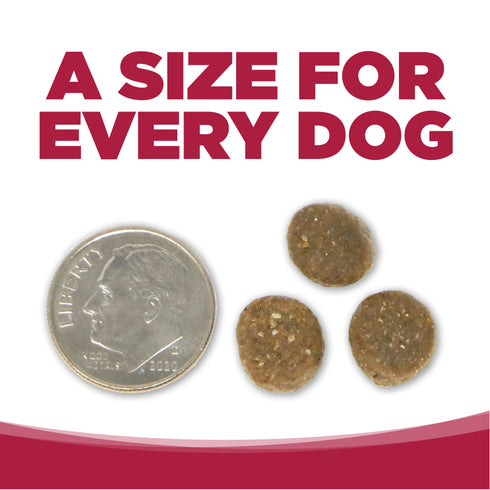 NutriSource Grain Free Dry Dog Food - Seafood Select Salmon & Menhaden Fish - 26lb Bag