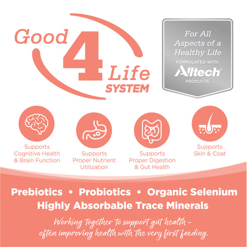 NutriSource Grain Free Small Bites Dry Dog Food - Seafood Select Salmon & Menhaden Fish - 4lb Bag