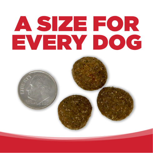 NutriSource Wholesome Grains Large Breed Dry Dog Food - Beef & Rice Recipe - 26lb Bag