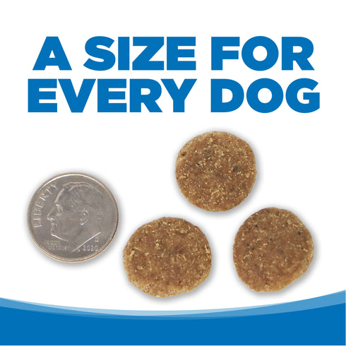 NutriSource Wholesome Grains Large Breed Dry Dog Food - Chicken & Rice - 26lb Bag