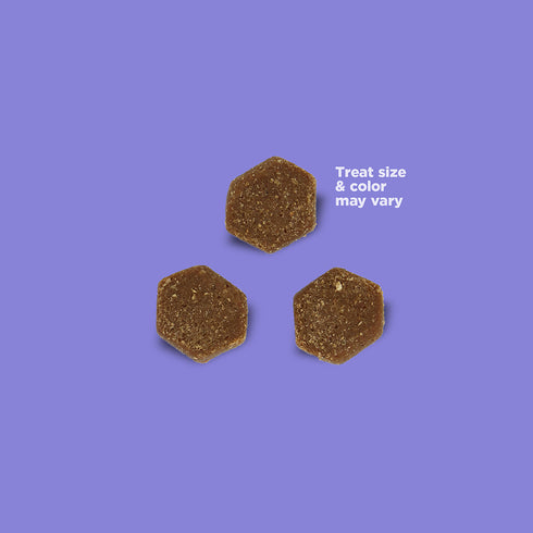 NutriSource Little Bites Soft Dog Treats - Salmon - 6oz Pouch