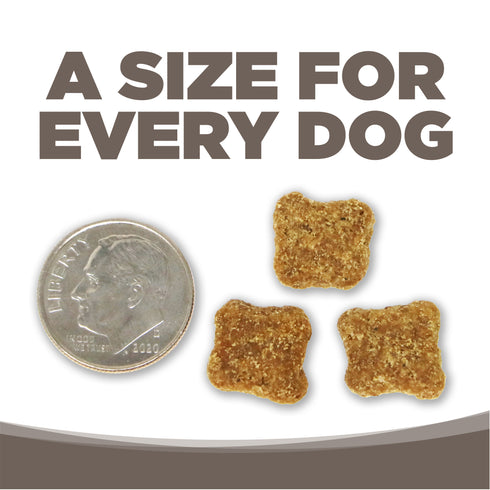 NutriSource Wholesome Grains Senior Dry Dog Food - Chicken & Rice - 4lb Bag