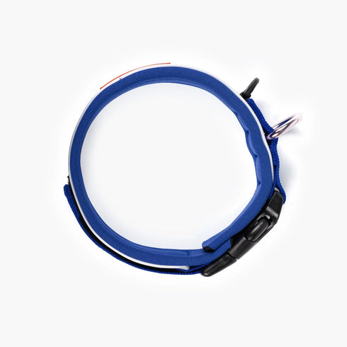EZYDOG Neo Classic Dog Collar - Small 13.5-15" x 1 1/3" x 3/4" - Blue