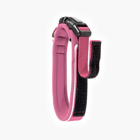 EZYDOG Neo Classic Dog Collar - Small 13.5-15" x 1 1/3" x 3/4" - Pink
