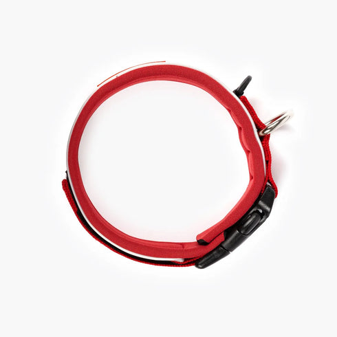 EZYDOG Neo Classic Dog Collar - Small 13.5-15" x 1 1/3" x 3/4" - Red