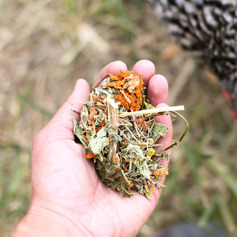 Happy Hen Nesting Herbs Chicken Treats - Aromatic Herb Blend - 1lb Bag