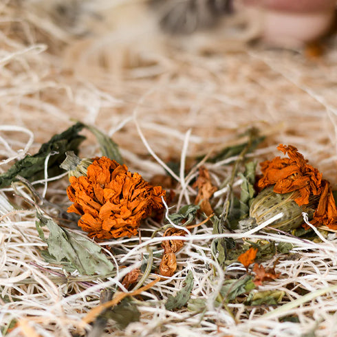 Happy Hen Nesting Herbs Chicken Treats - Aromatic Herb Blend - 1lb Bag