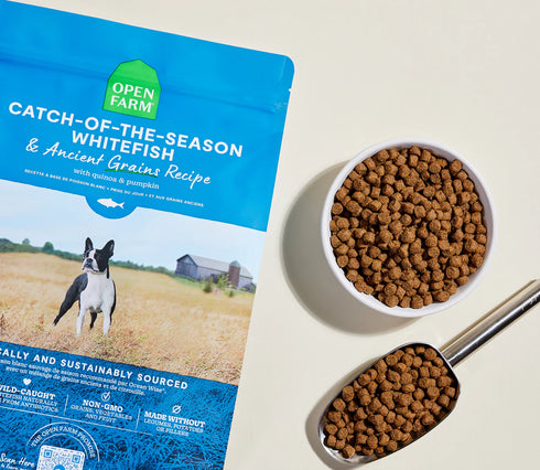 Open Farm Ancient Grains Dry Dog Food - Catch-of-the-Season Whitefish - 11lb Bag