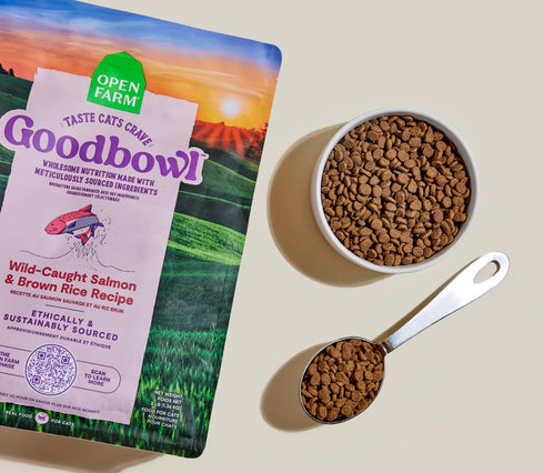 Open Farm GoodBowl Dry Cat Food - Salmon & Rice - 3lb Bag