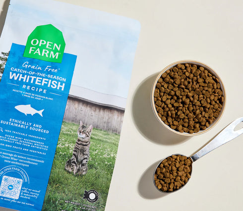 Open Farm Grain-Free Dry Cat Food - Catch-of-the-Season Whitefish - 4lb Bag