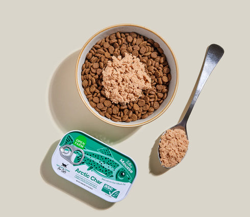 Open Farm Cat Food Topper - Arctic Char - 3.17oz Can