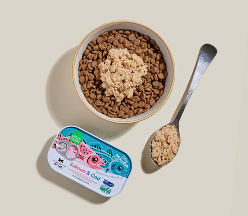 Open Farm Cat Food Topper - Salmon & Cod - 3.17oz Can