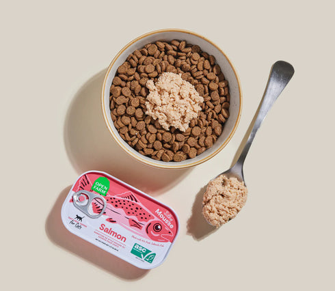 Open Farm Cat Food Topper - Salmon - 3.17oz Can