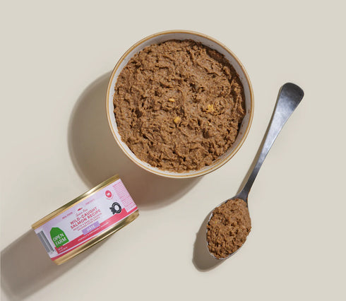 Open Farm Wet Cat Food - Wild-Caught Salmon Pate - 5.3oz Can