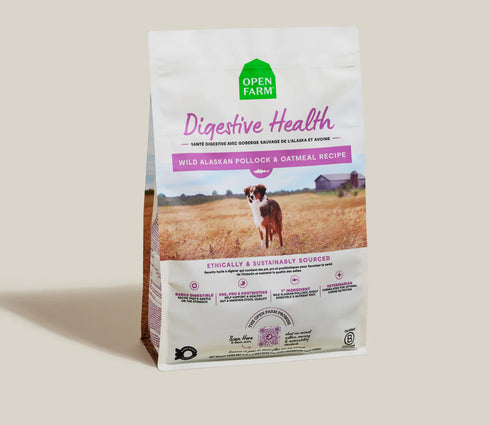 Open Farm Digestive Health Dry Dog Food - Pollock & Oatmeal - 4lb Bag