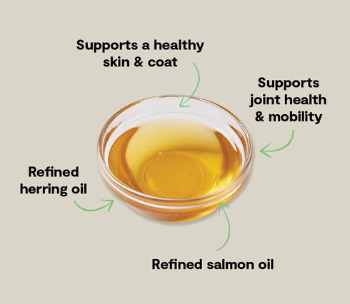 Open Farm Icelandic Herring & Salmon Oil Cat & Dog Supplement - 16.9oz Bottle