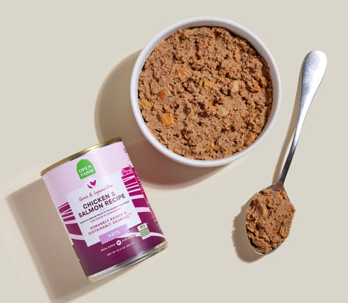 Open Farm Grain Free Wet Dog Food - Chicken & Salmon Pate - 12.5oz Can