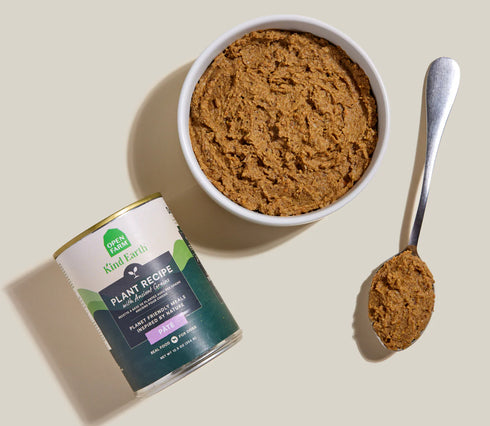 Open Farm Kindearth Wet Dog Food - Plant Pate with Ancient Grains - 12.5oz Can