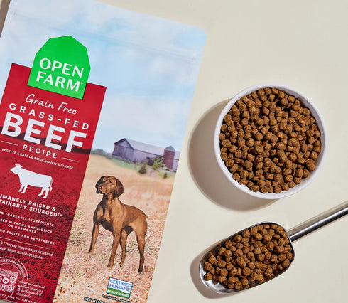 Open Farm Grain Free Dry Dog Food - Grass-Fed Beef - 22lb Bag