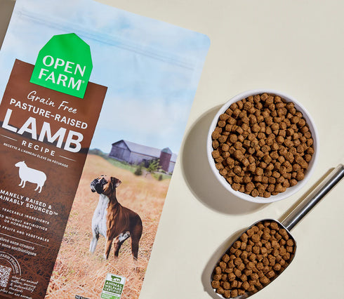 Open Farm Grain Free Dry Dog Food - Pasture-Raised Lamb - 22lb Bag