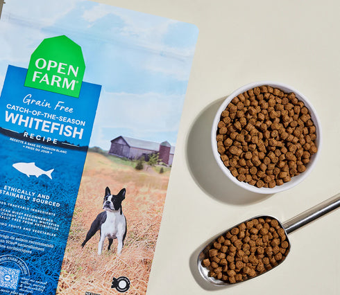 Open Farm Grain Free Dry Dog Food - Catch-of-the-Season Whitefish - 22lb Bag