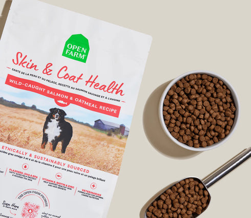 Open Farm Skin & Coat Health Dry Dog Food - Salmon & Oatmeal - 22lb Bag