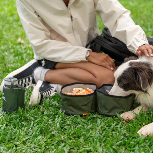 Olly Dog Superbowl Collapsible Dog Bowl - Moss Green