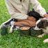 Olly Dog Superbowl Collapsible Dog Bowl - Moss Green