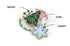 P.L.A.Y Merry Woofmas Christmas Eve Cookies Dog Toy