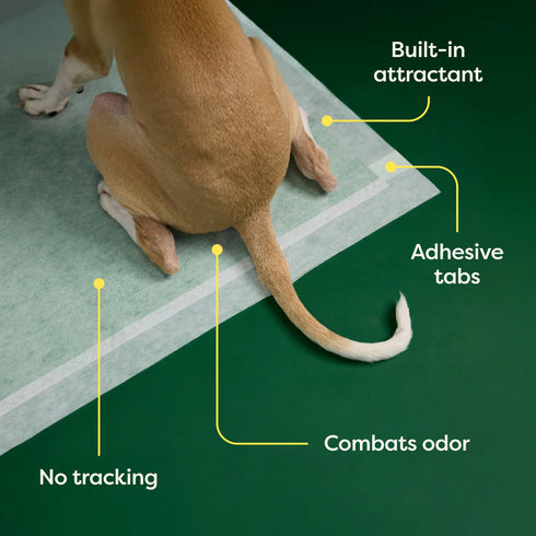 Earth Rated Dog Pee Pads - Large - 40 Count