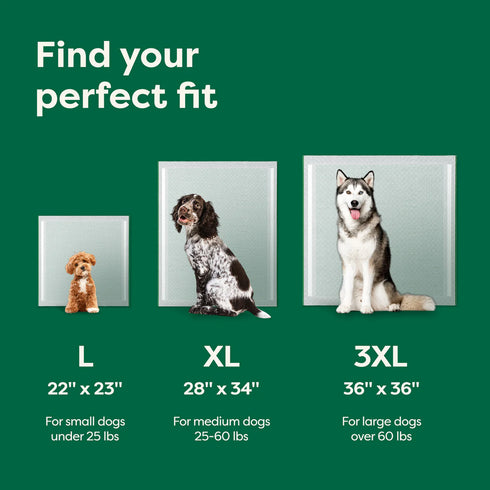 Earth Rated Dog Pee Pads - Large - 40 Count