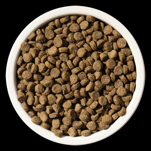 Bixbi Rawbble Indoor Health Dry Cat Food - Chicken & Salmon - 3lb Bag