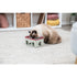 Trixie Tod Box Strategy Game Dog Toy