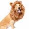 Pet Krewe Lion Mane Costume For Dogs - Small