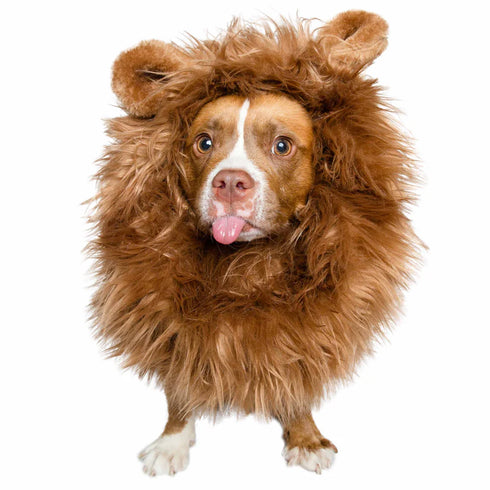 Pet Krewe Lion Mane Costume For Dogs - Small