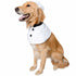 Pet Krewe Top Chef Uniform Costume For Dogs - Small/Medium